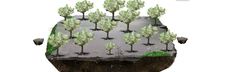 2017 03 30 10 33 53 apfelbaum pflanzen.de   pflanzen sie hoffnung!